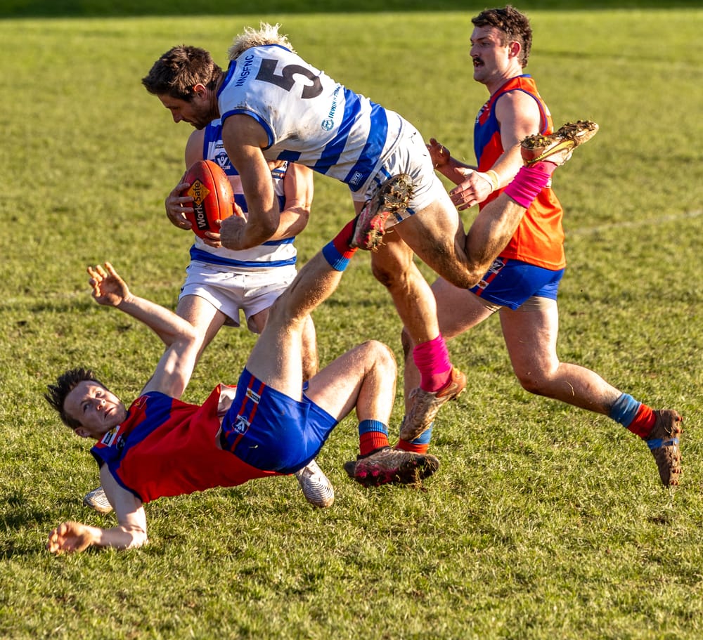 Premiership challengers Lyrebirds and Bloods meet in EDFNL post image