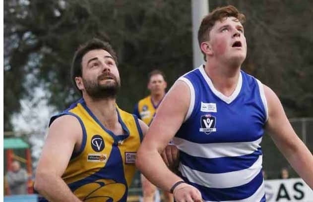 Cats remain undefeated post image