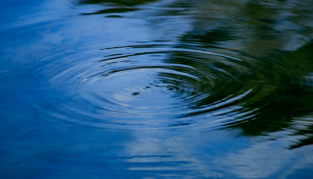 Locals shiver through a wet and chilly July post image