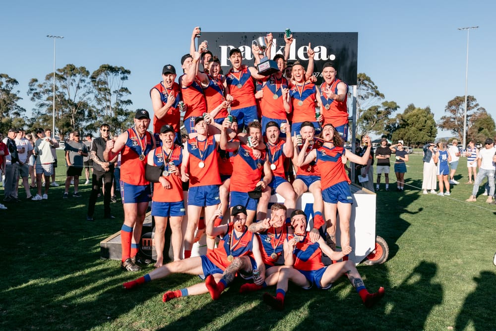 Lyrebirds find grand final redemption post image