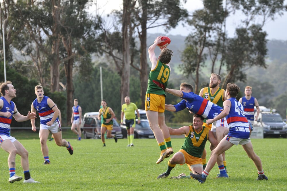 Will the Bulldogs or Magpies hold Mid Gippy cup aloft? post image