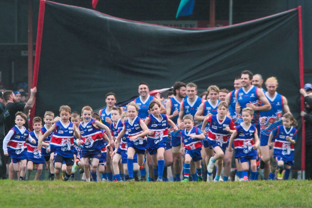 Bunyip set for EDFNL post image