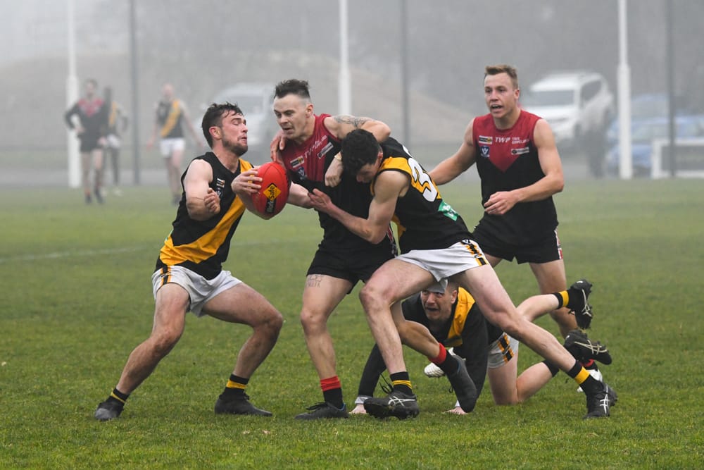 Gulls hold on for first win of year post image