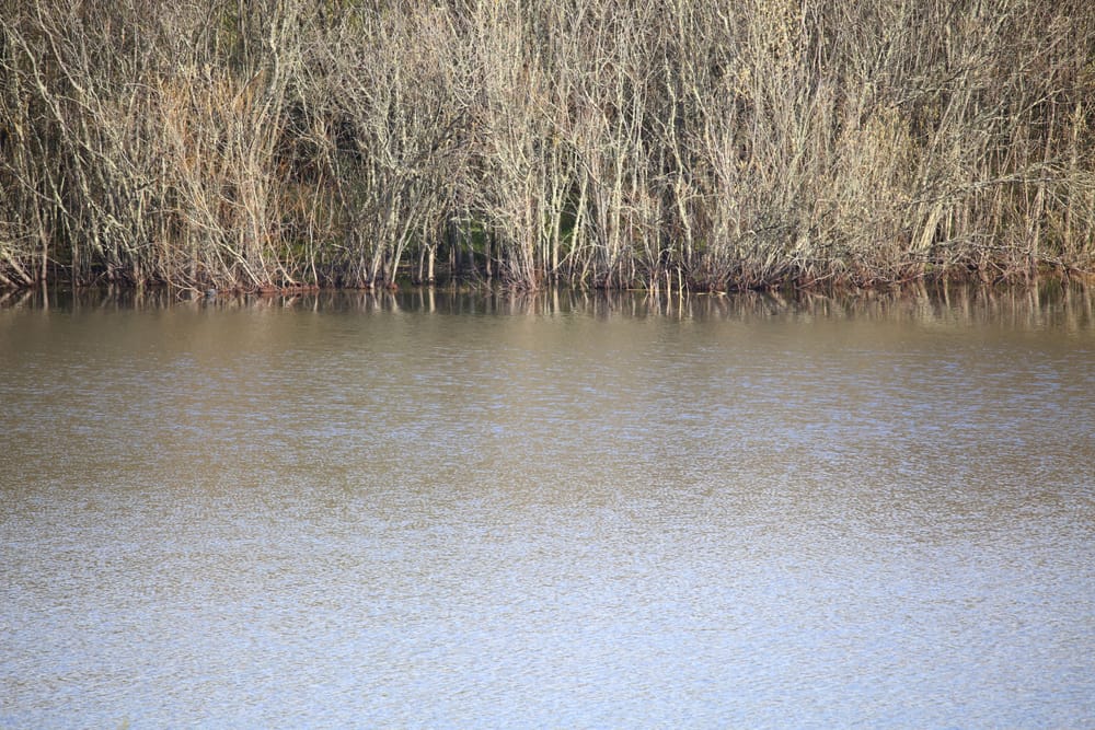 Water planning webinars post image