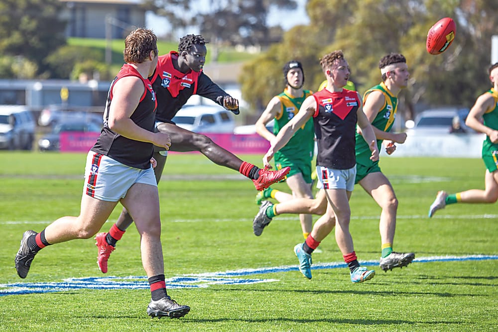 Gulls move a step closer post image