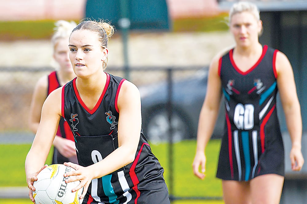 Midcourt impress in Gulls win post image