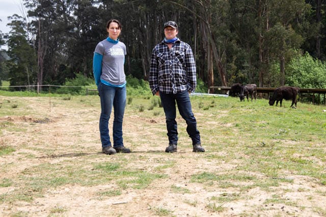 Ferndale Giibsons post image