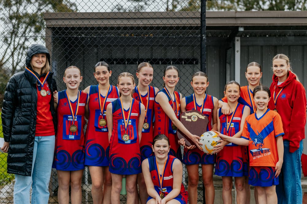 Young Lyrebirds impress post image