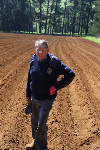 Les Horsfield champions the humble spud post image