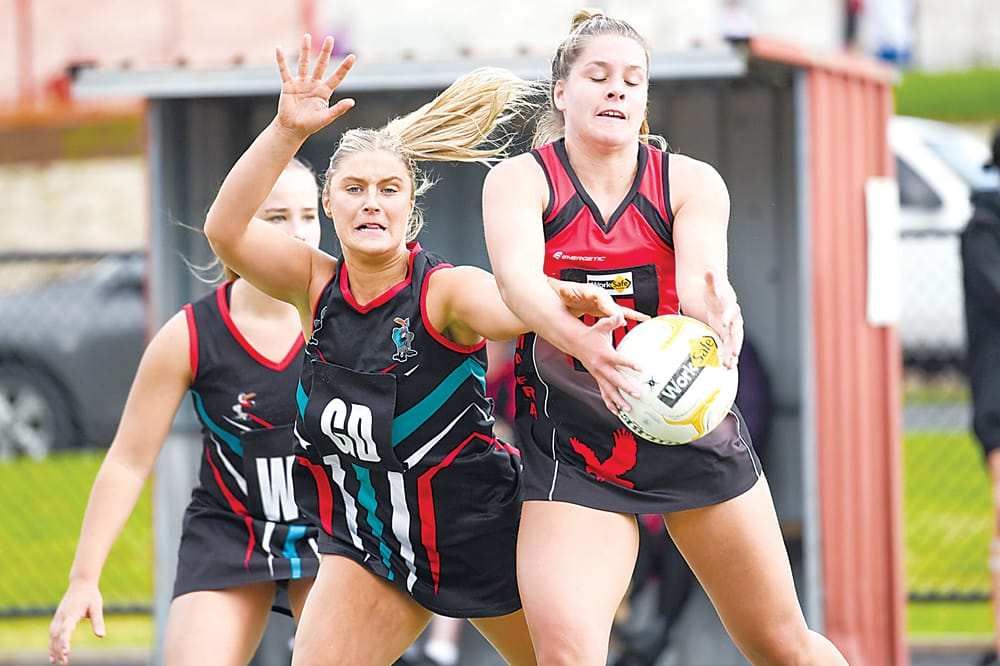 Win keeps Gulls in the finals hunt post image