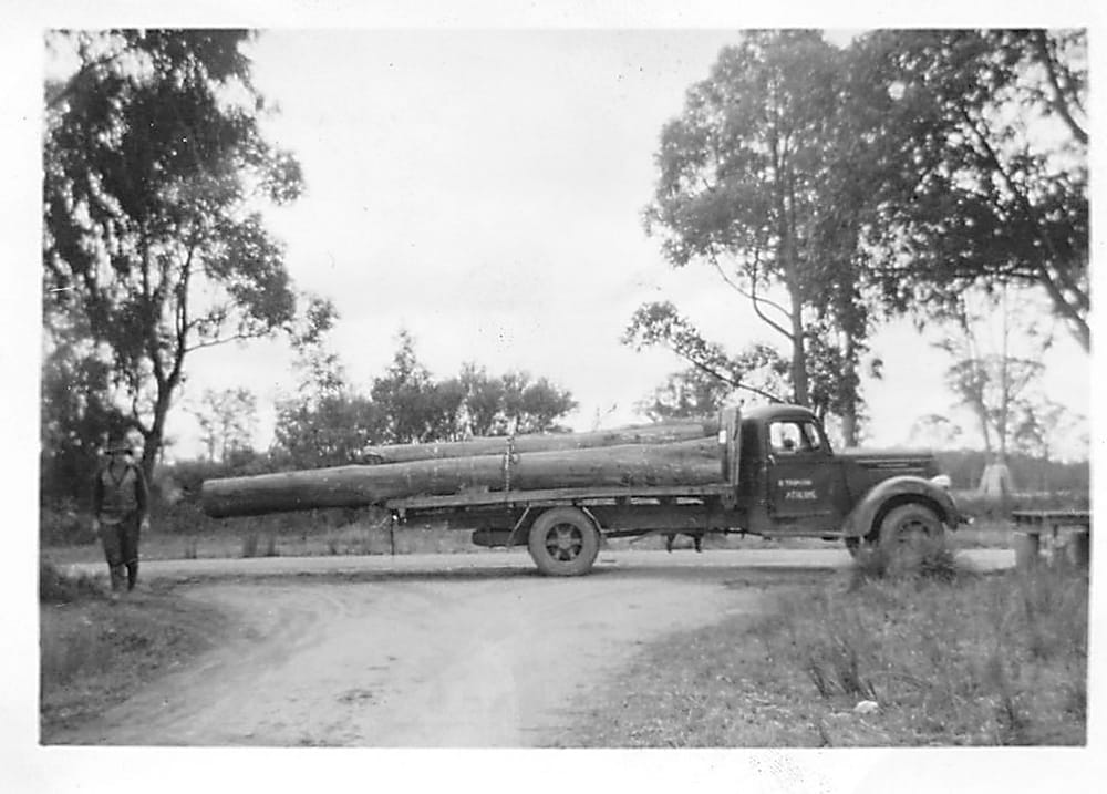 Snapshot of the past - carting trees post image