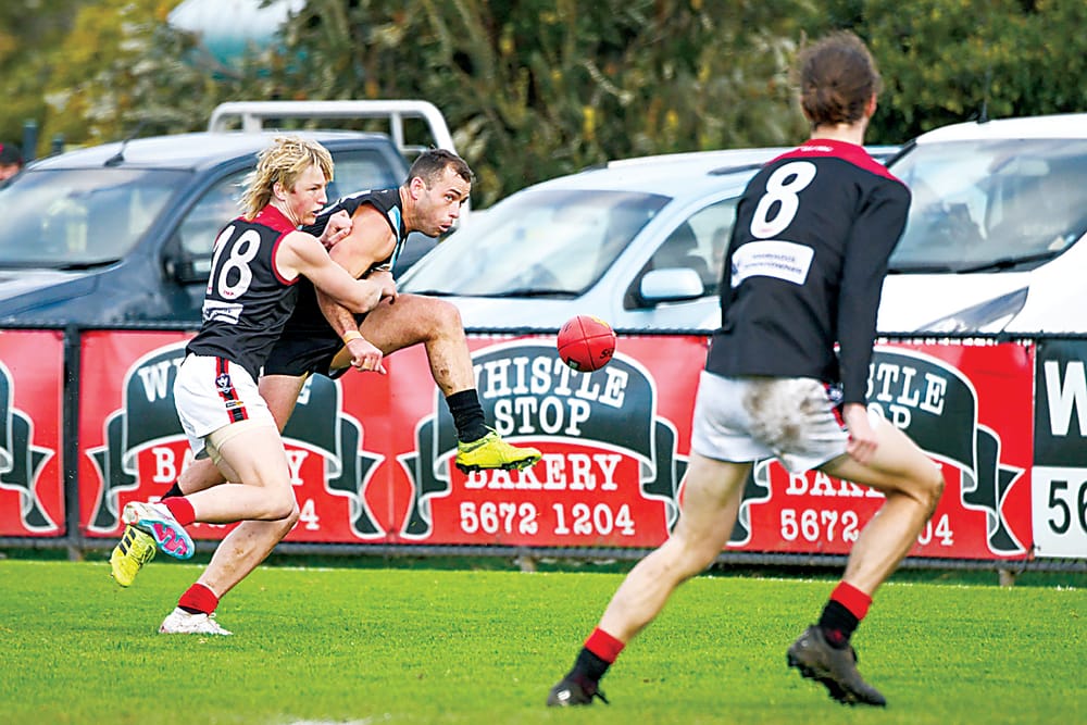 Gulls face off with premiership favourites post image