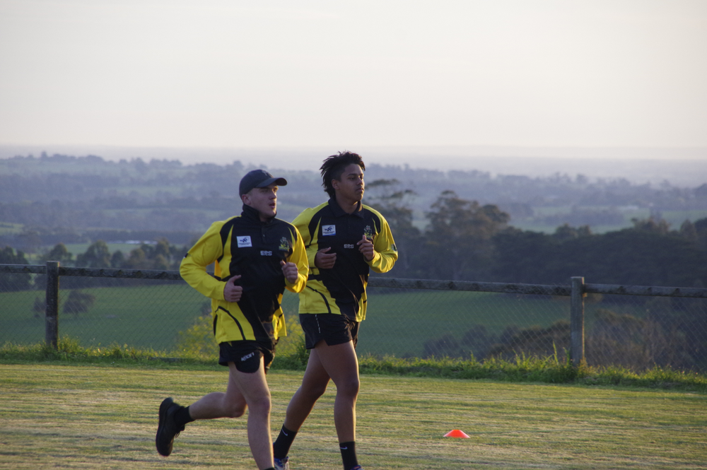 No cricket competitions for a month in the WDCA post image