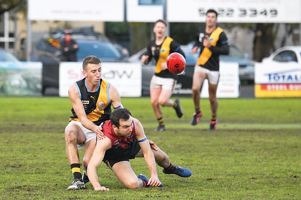 Gulls look to go two from two against Tigers post image