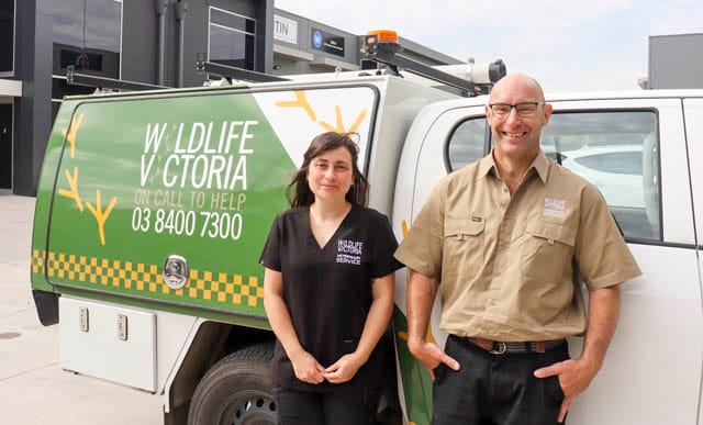 Wildlife Vic Vets - 19.12.2023 post image
