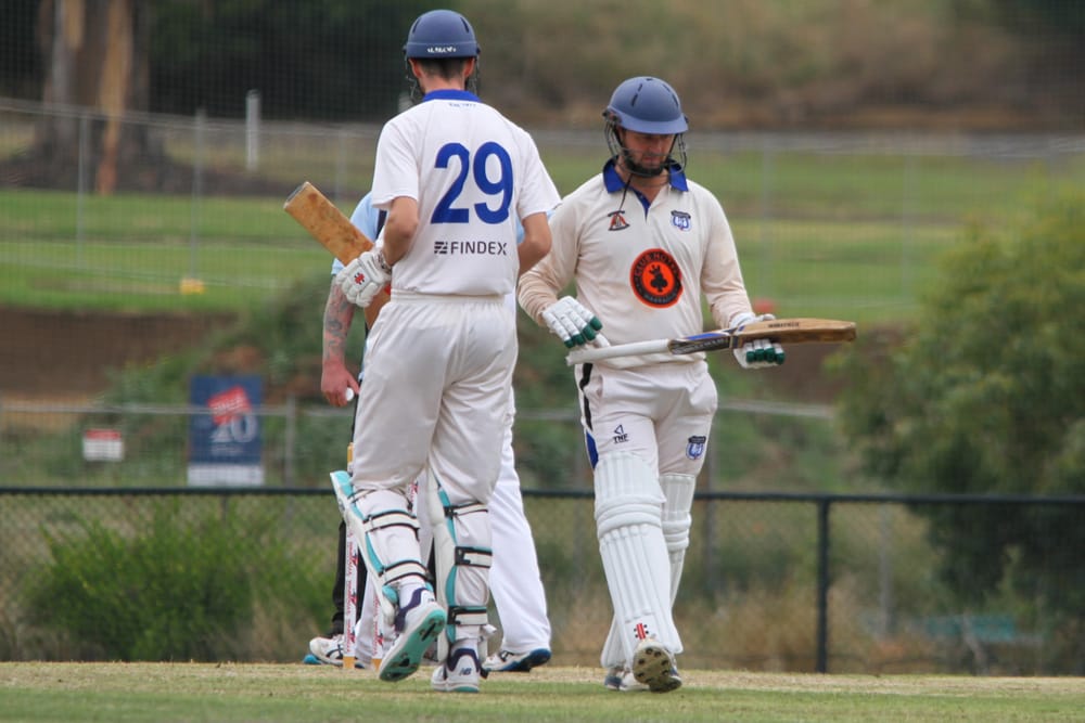 Swampies shine as Titans falter post image