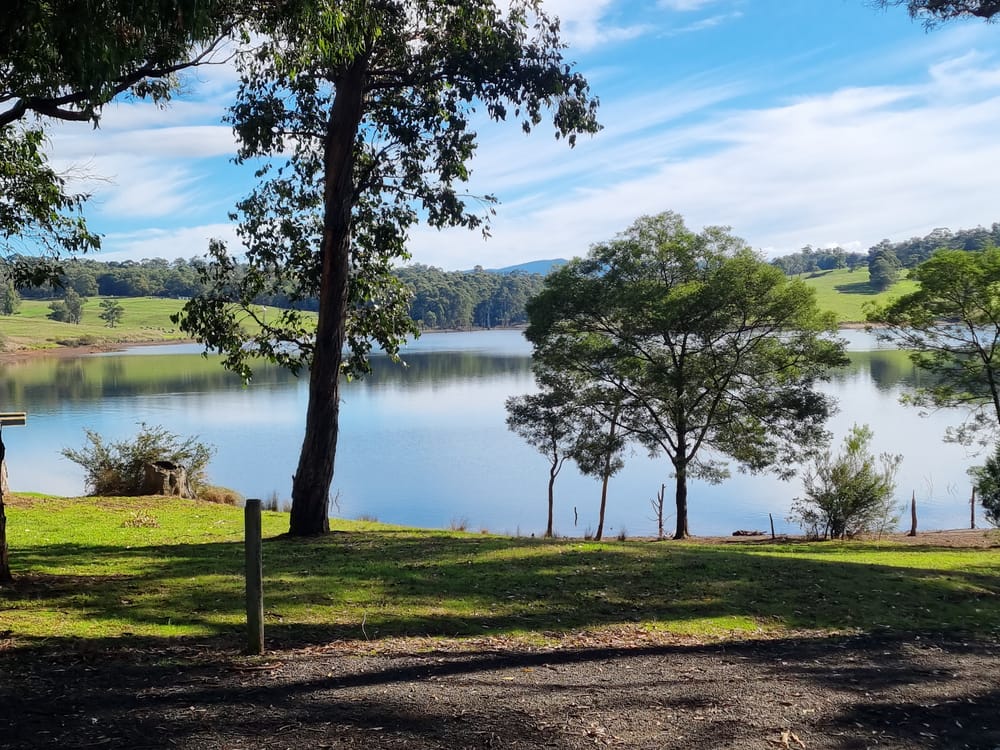 Community festival celebrates environment post image