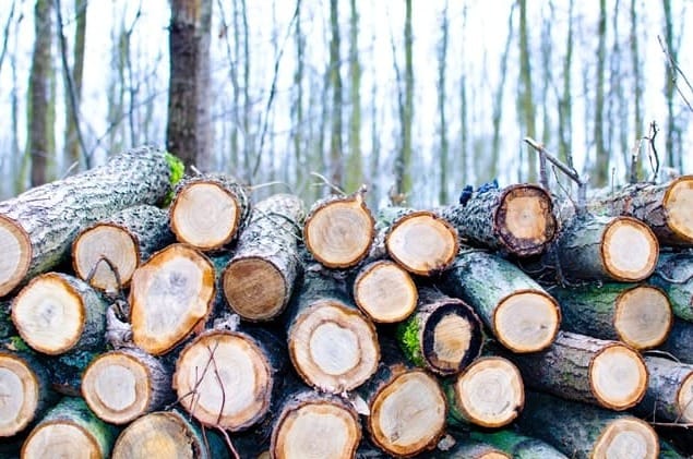 Firewood collection now open post image