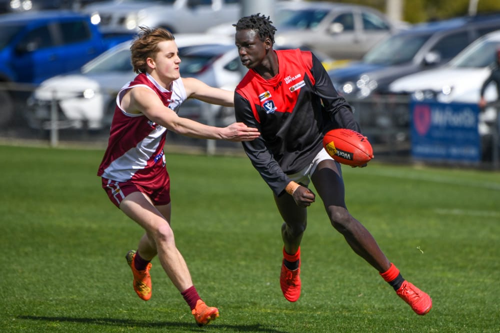 History up for grabs as Gulls look to go back to back post image