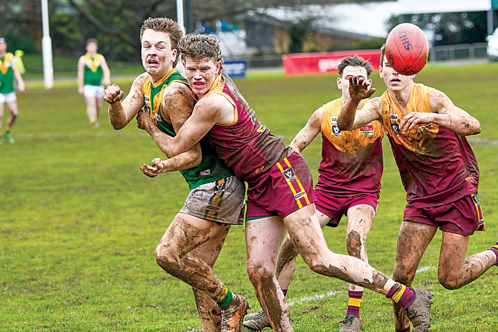 Dirty day as Hawks downed by Parrots post image