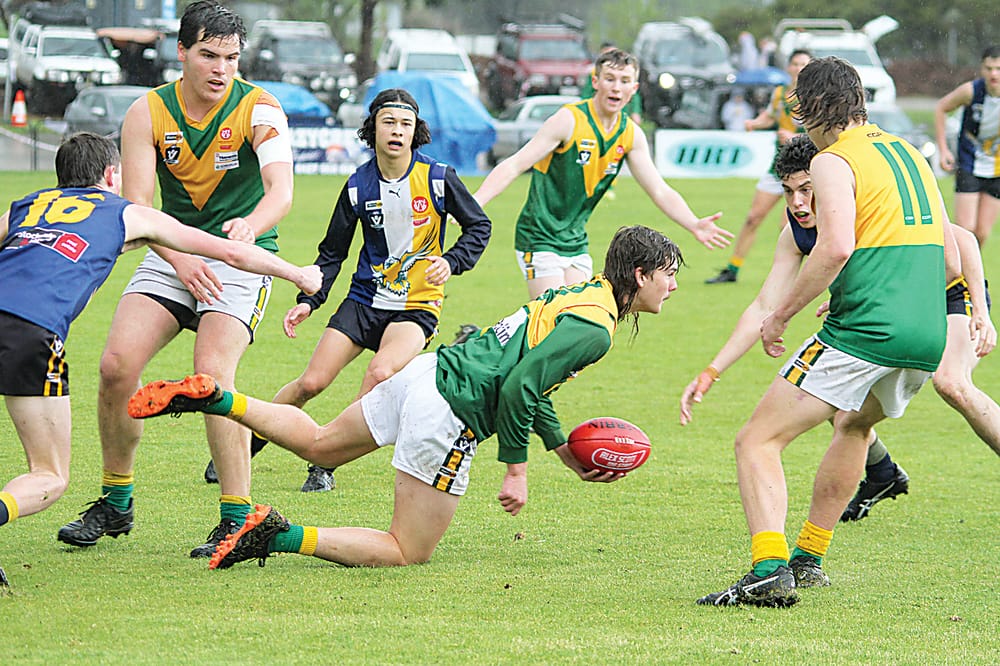 Stars go down fighting post image