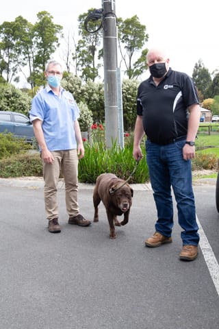 Vets Pet Care- 14.10.2021 post image