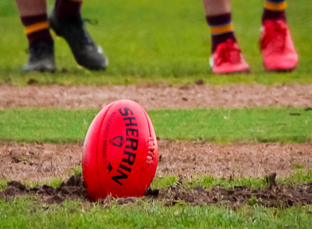 Cats deny Magpies with late charge post image