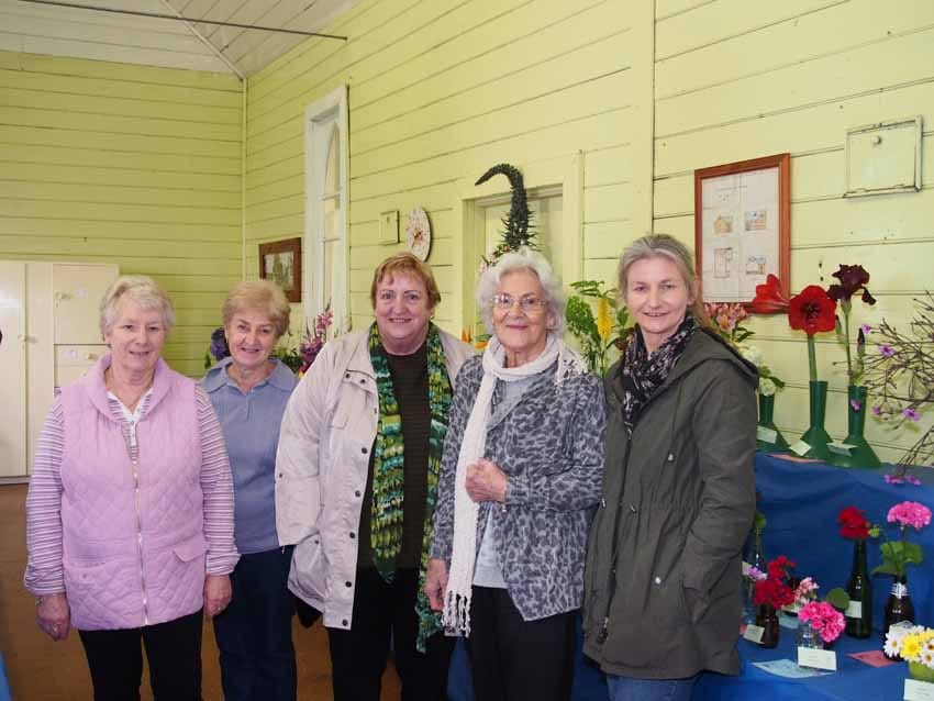 Bunyip blooming post image