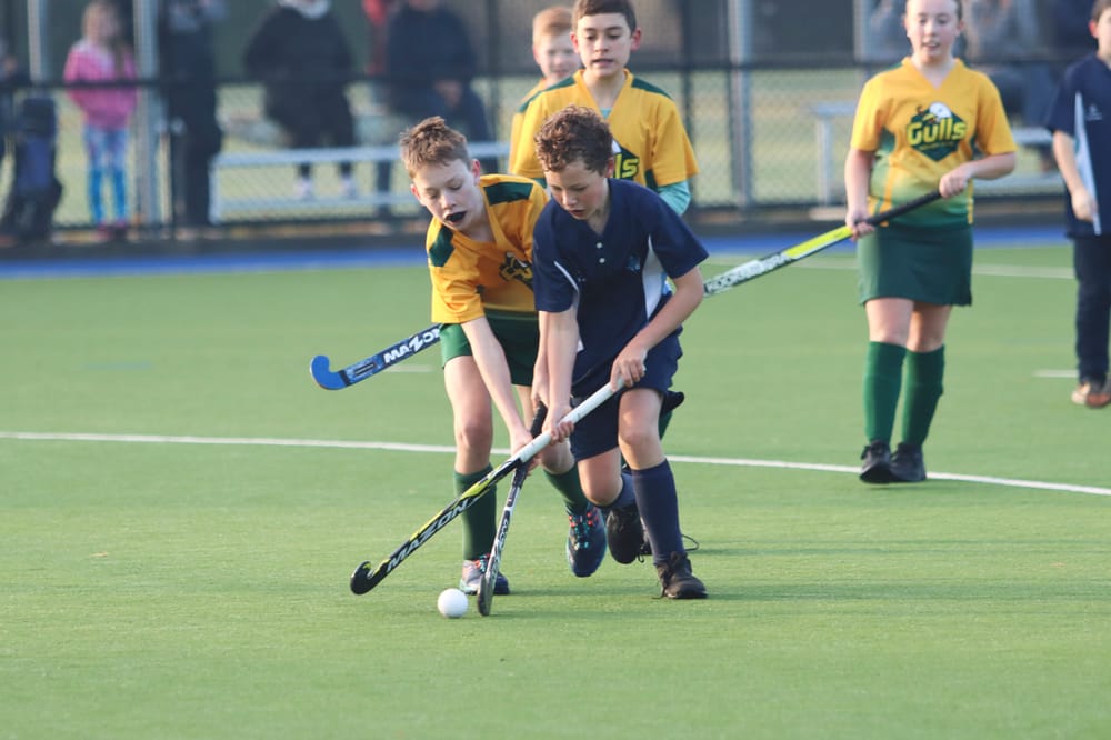 Hockey players enjoy bright sunshine in full return to play post image
