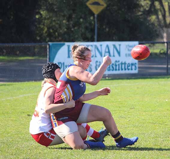 Dusties do it hard post image