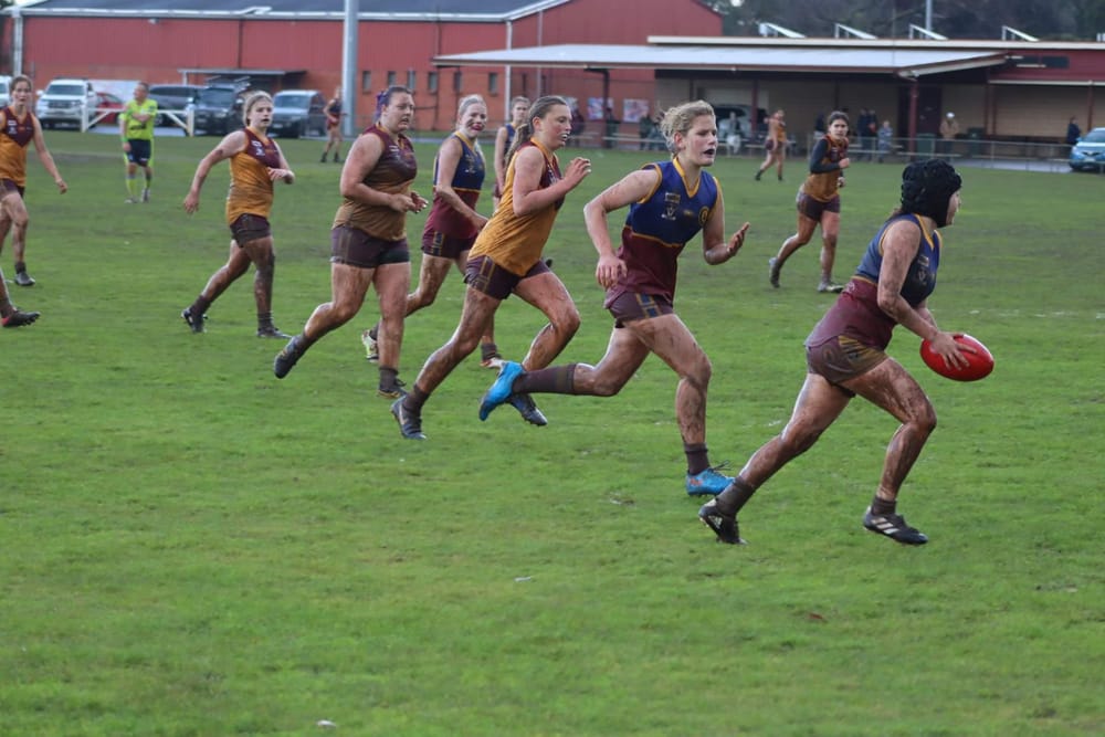 Dusties girls down Hawks post image