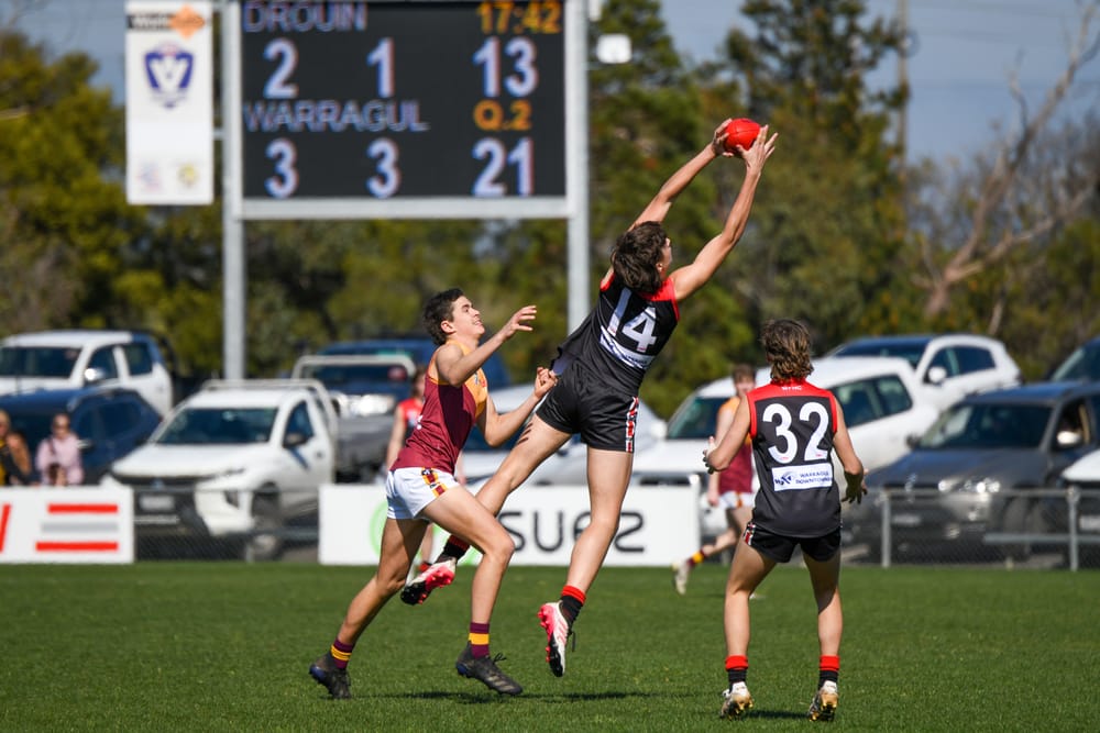 Young Gulls win last-gasp thriller over Hawks post image