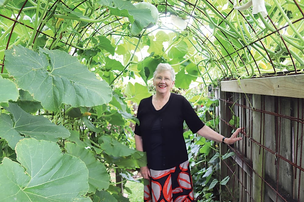 Creative Harvest showcases innovative gardens post image