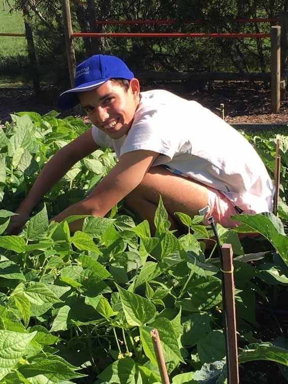 Jindivick student harvests for Zimbabwe post image