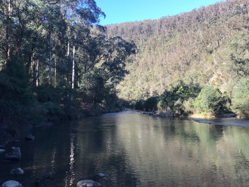 Coopers Creek - the town - sells post image