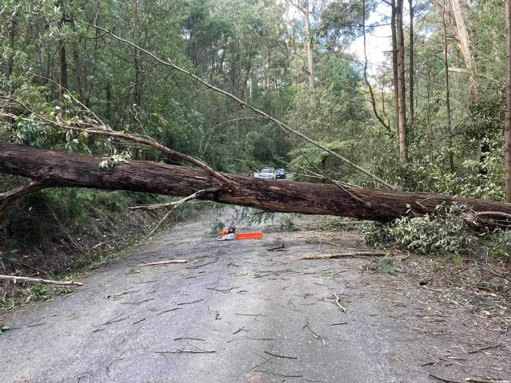 First signs last week post image