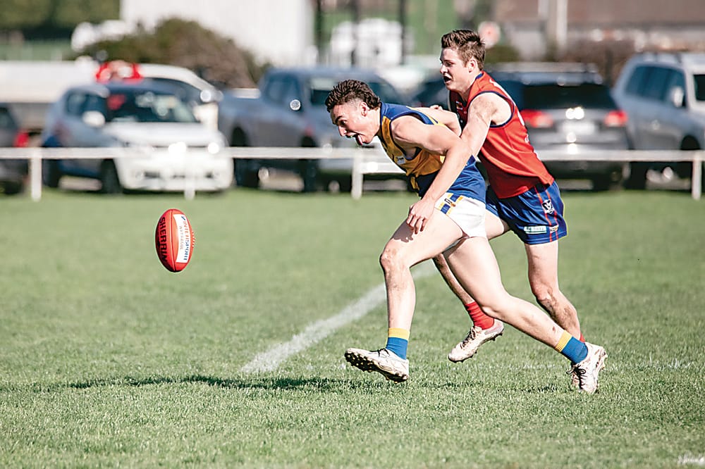Eagles and Cats battle for EDFNL grand final berth post image