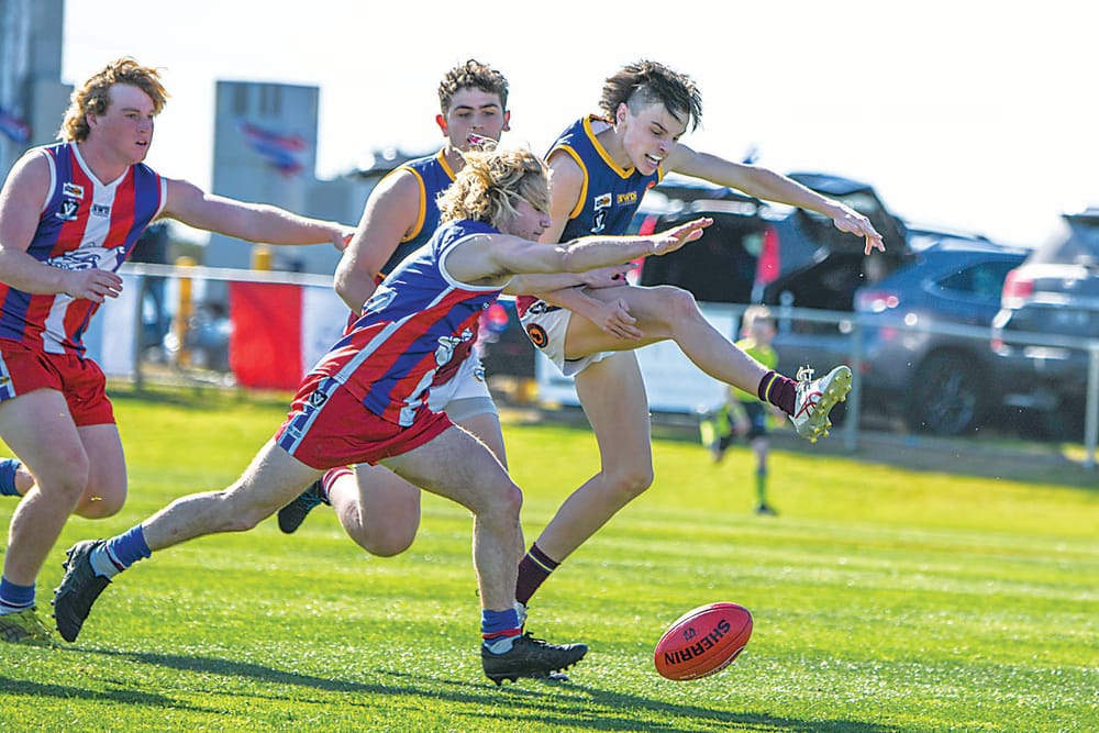 Dusties downed by brilliant Bulldogs post image