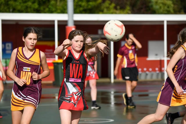 Netball- Nilma Darnum Vs Drouin Hawks (13s & Under) 07-12-2020 post image
