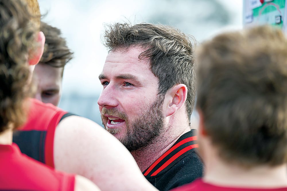 Gulls swooped post image