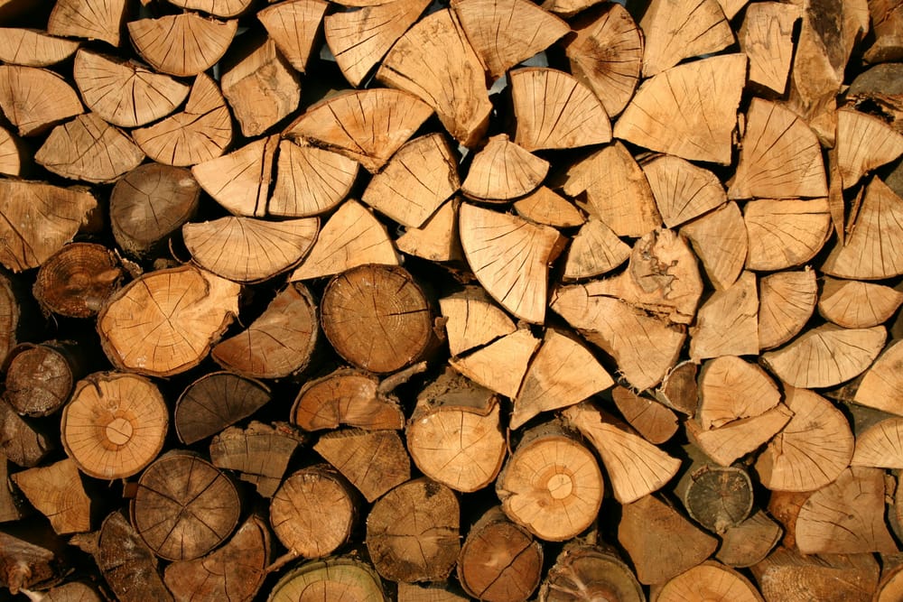 Spring firewood collection post image