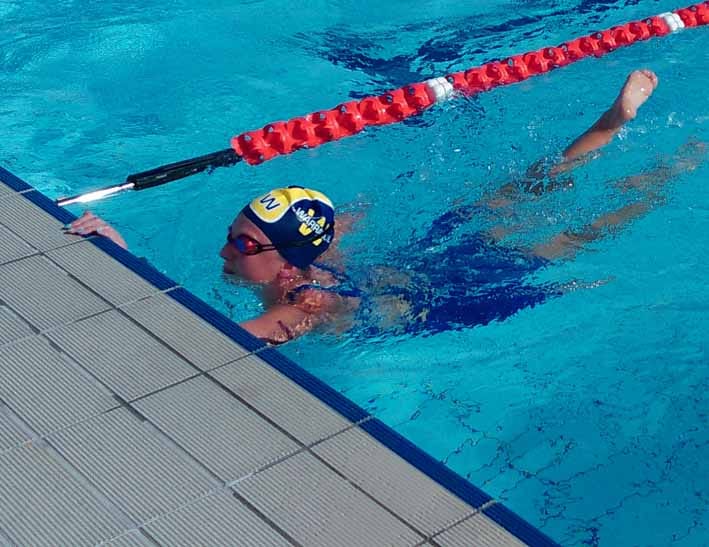 Wild dogs return post image