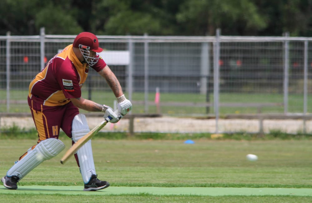 Cats carve Kangas post image