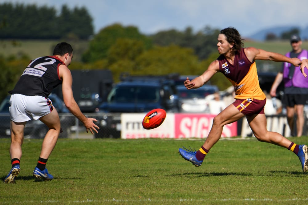 Gulls hold off Hawks post image