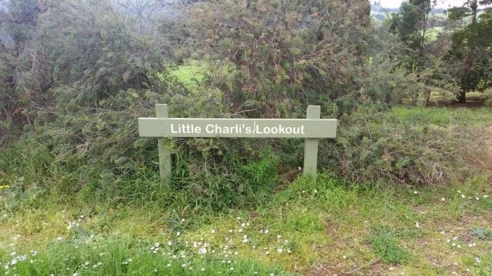 Do you approve of Little Charli? post image