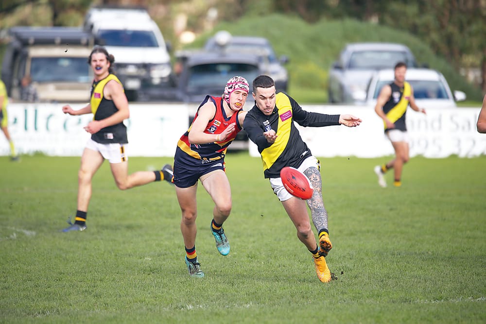 Tigers win heartstopper post image