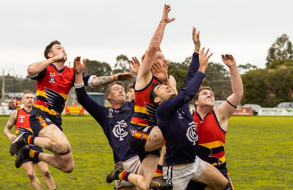 Yarragon set to host EDFNL grand final post image