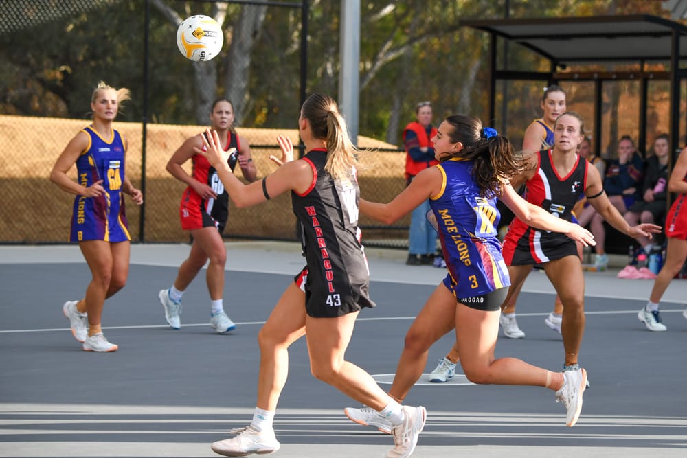Top two sides battle in Gippsland League netball post image