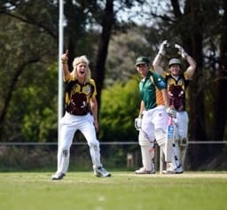 Cricket begins post image