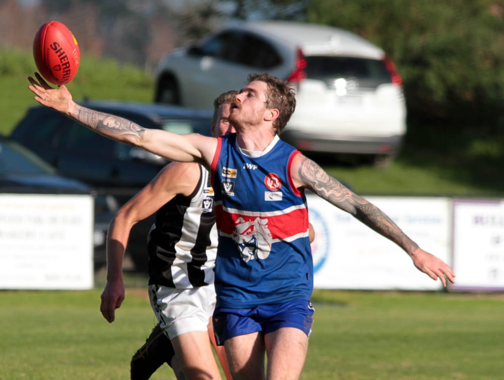 Brutal Bunyip back in the finals hunt post image